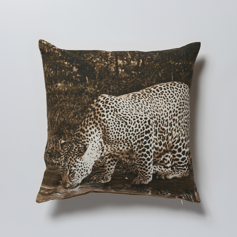CUSH-W27© AfricanFineArt.co.za